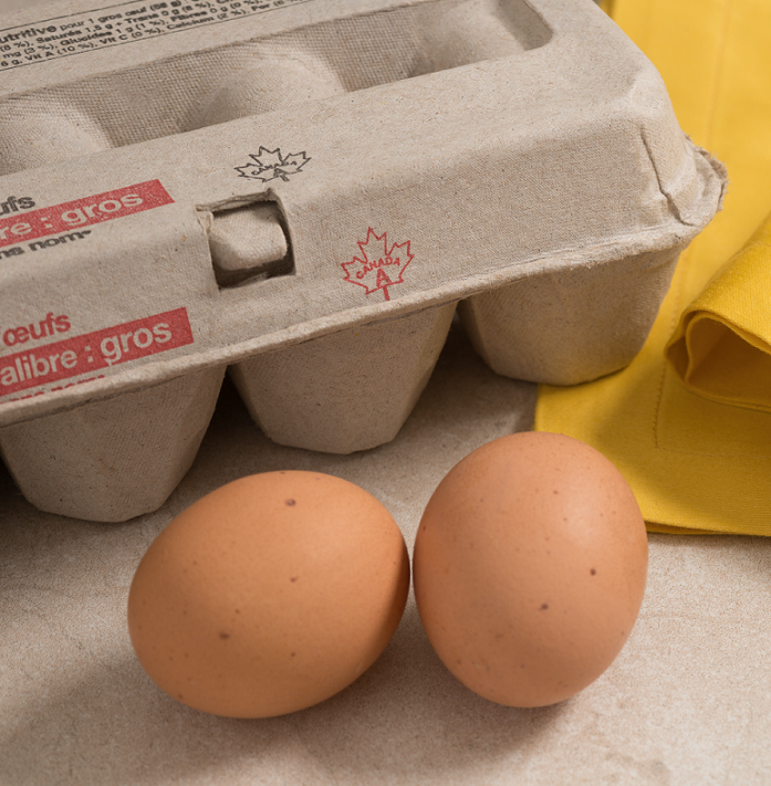 What is a Grade A egg? Eggs.ca